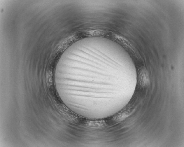 X0000059230571200511041245