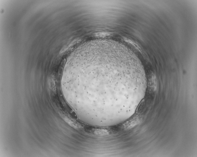 X0000059230572200511041245