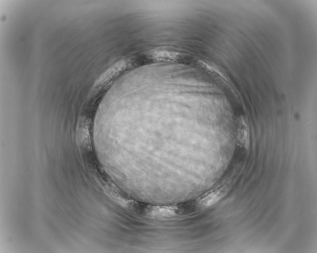 X0000059230573200511041245