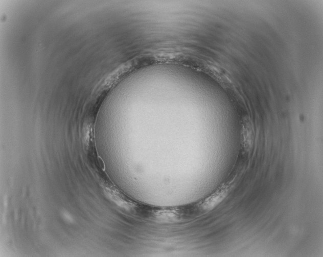 X0000059230574200511041245