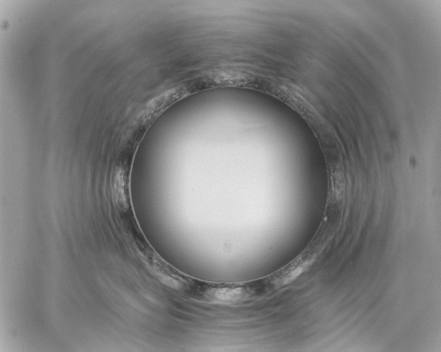 X0000059230575200511041245