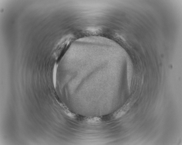 X0000059230576200511041245