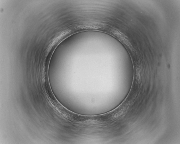 X0000059230578200511041244