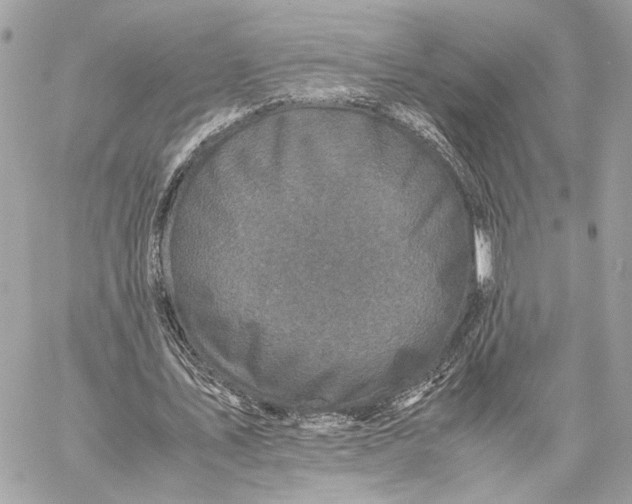 X0000059230579200511041244