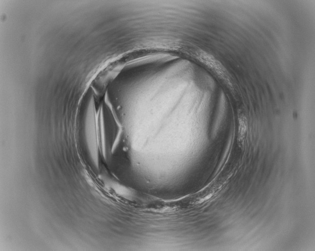 X0000059230580200511041244