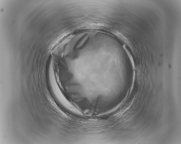 X0000059230581200511041244