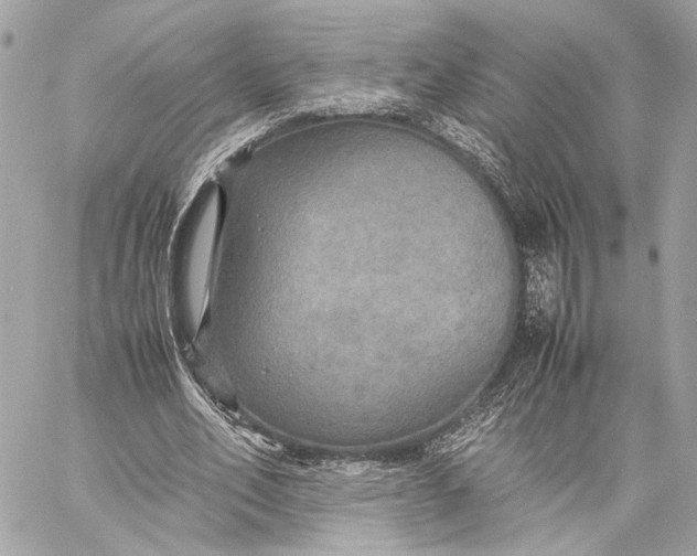 X0000059230582200511041244