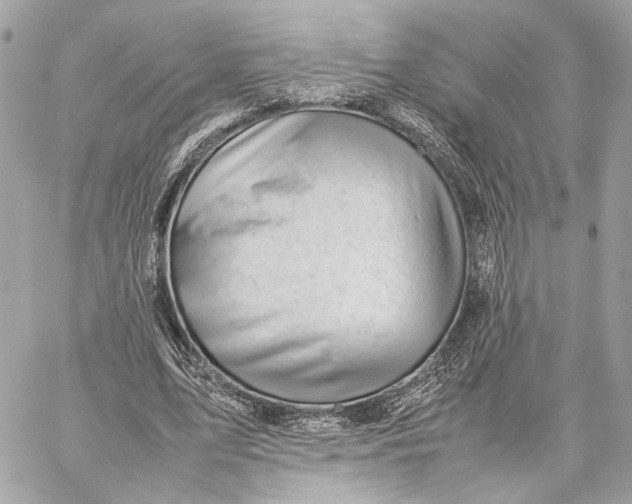 X0000059230583200511041244