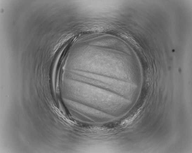 X0000059230585200511041244