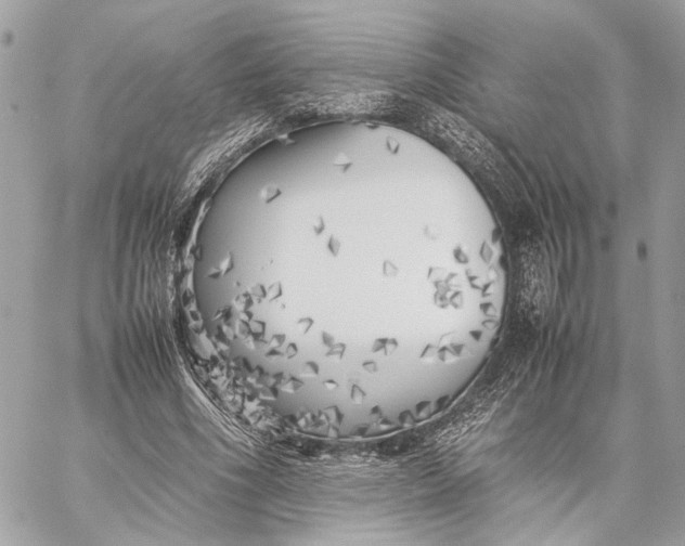 X0000059230586200511041244