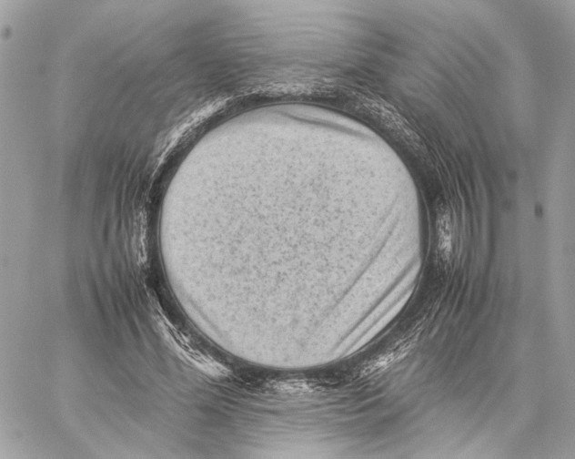 X0000059230588200511041244