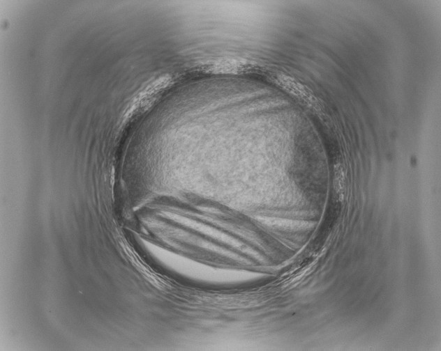 X0000059230589200511041244