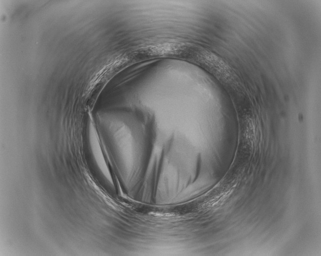 X0000059230590200511041244