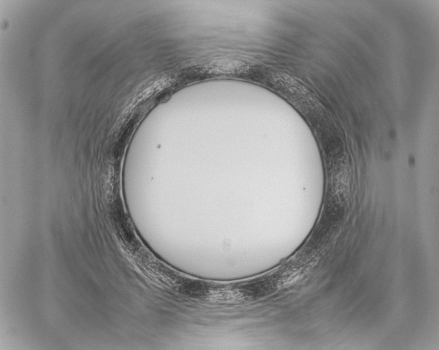 X0000059230591200511041244