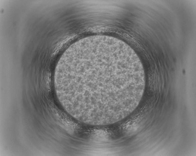 X0000059230592200511041244