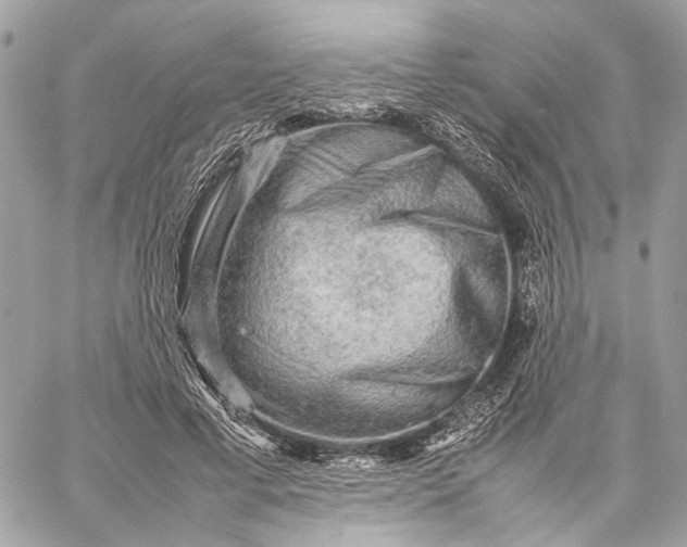 X0000059230593200511041244