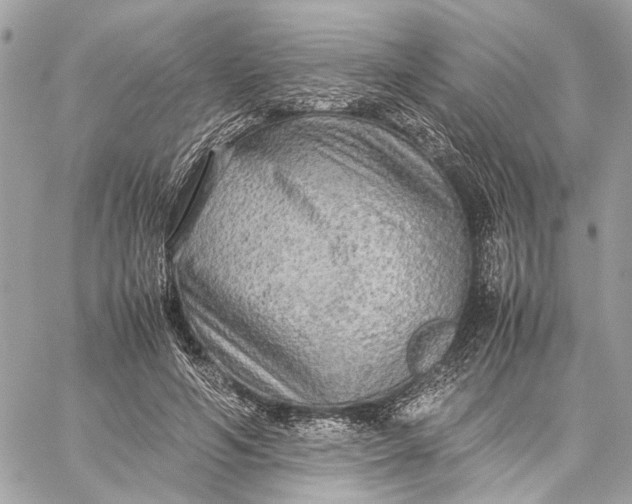 X0000059230594200511041244