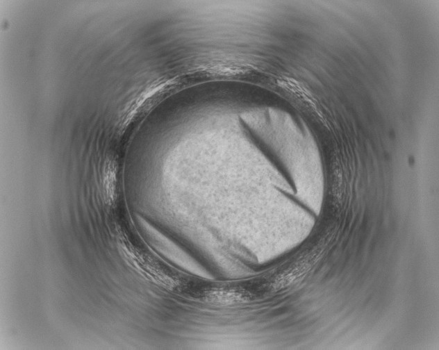 X0000059230596200511041244