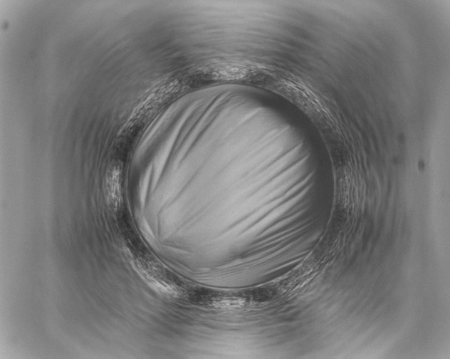 X0000059230598200511041244