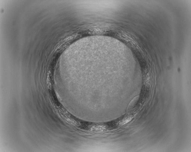 X0000059230599200511041244