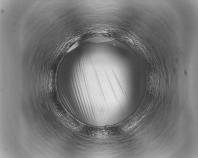 X0000059230600200511041244