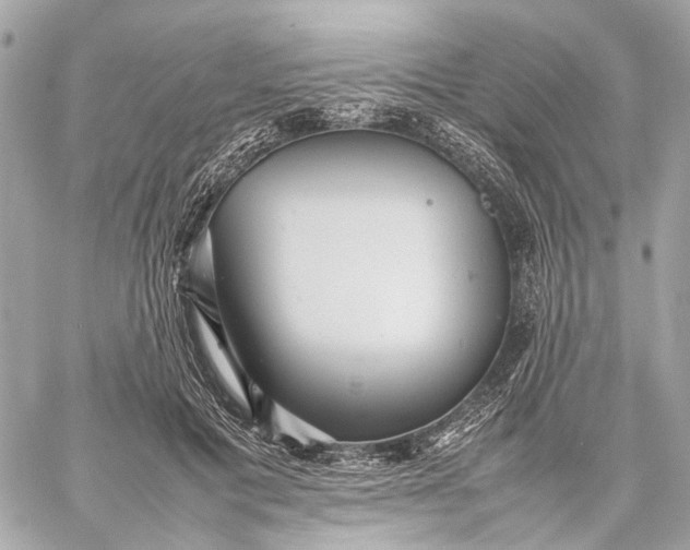 X0000059230601200511041243