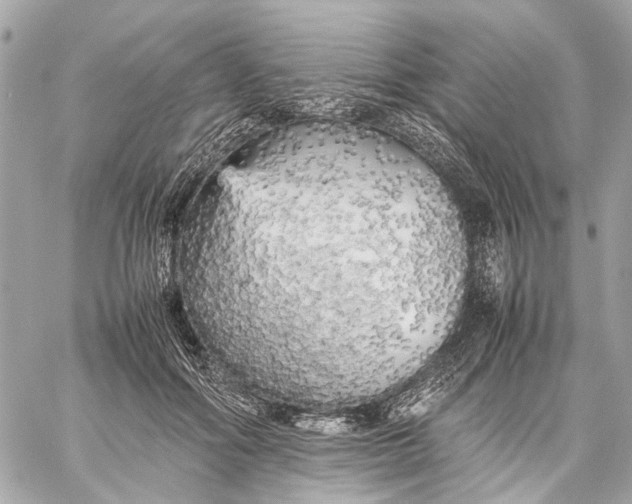 X0000059230602200511041243