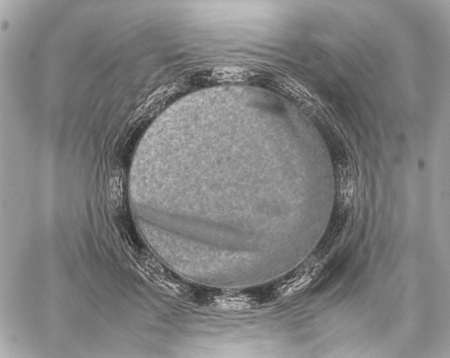 X0000059230603200511041243