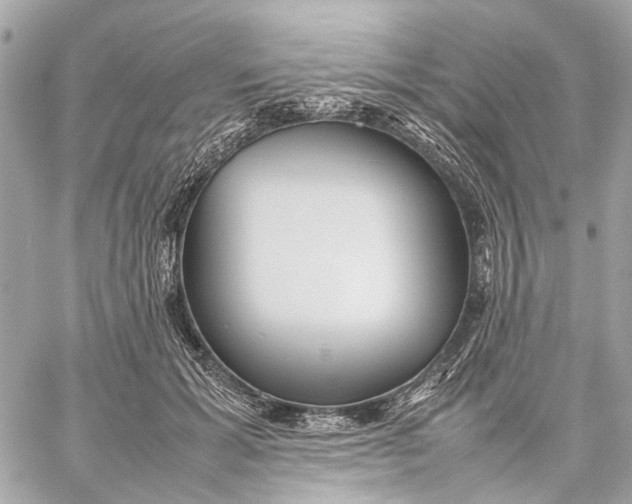 X0000059230605200511041243