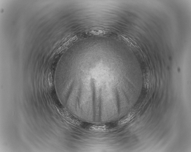 X0000059230606200511041243