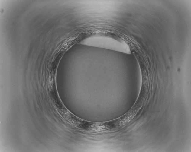 X0000059230607200511041243