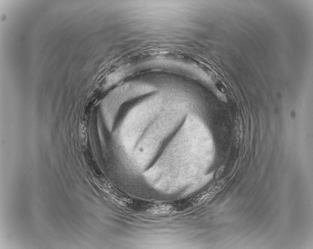 X0000059230609200511041243