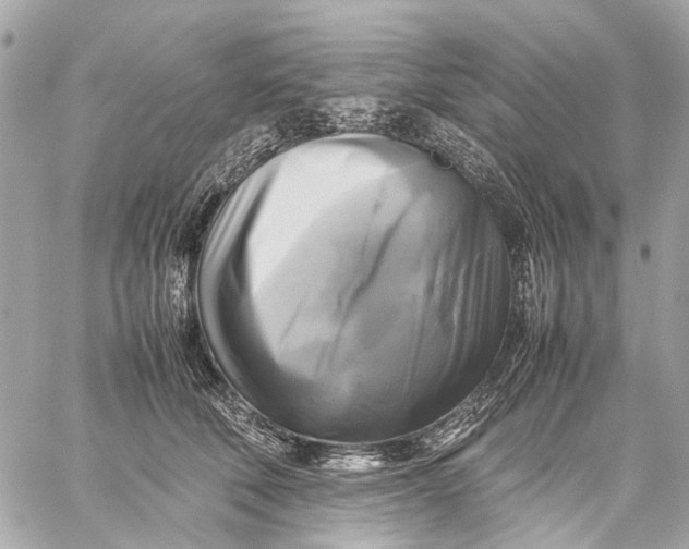 X0000059230610200511041243