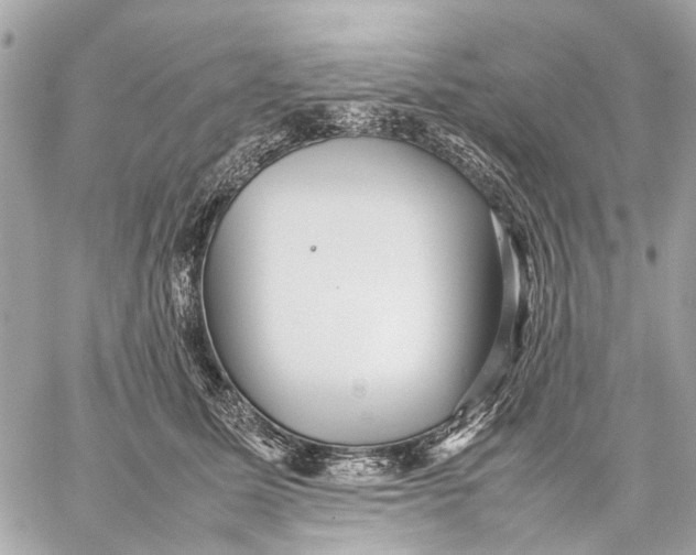 X0000059230611200511041243