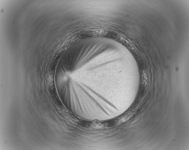 X0000059230613200511041243