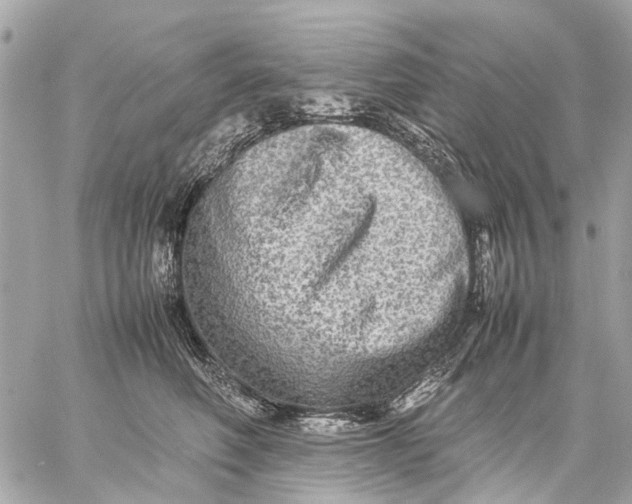 X0000059230614200511041243