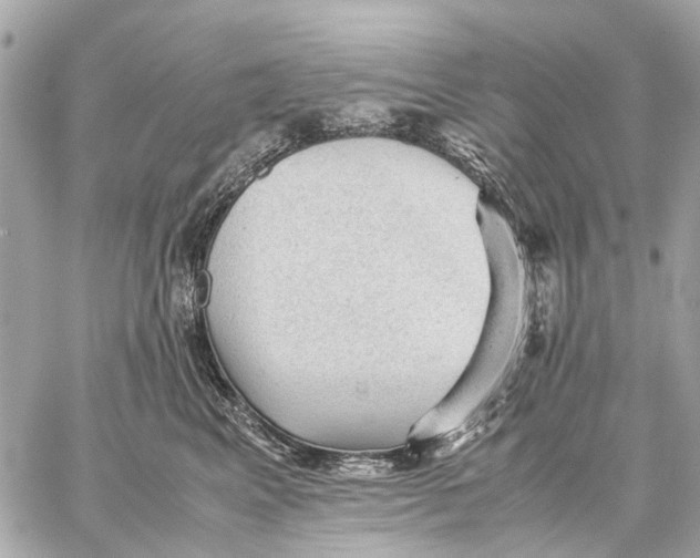 X0000059230617200511041243