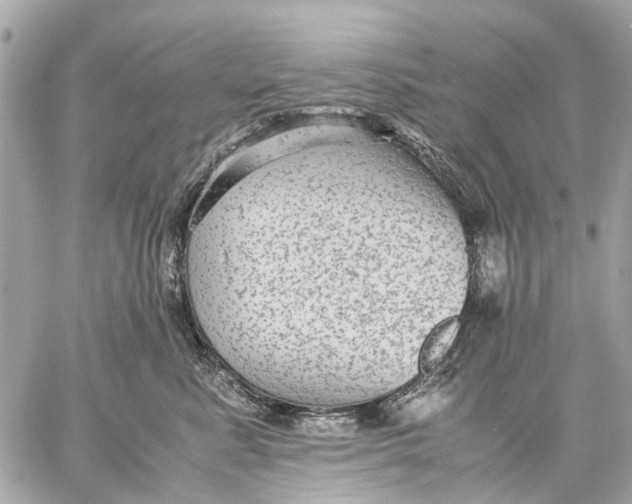 X0000059230619200511041243