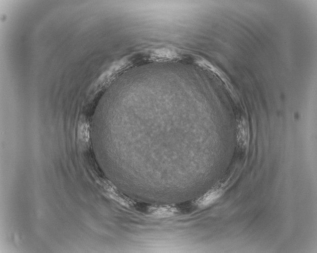 X0000059230621200511041243