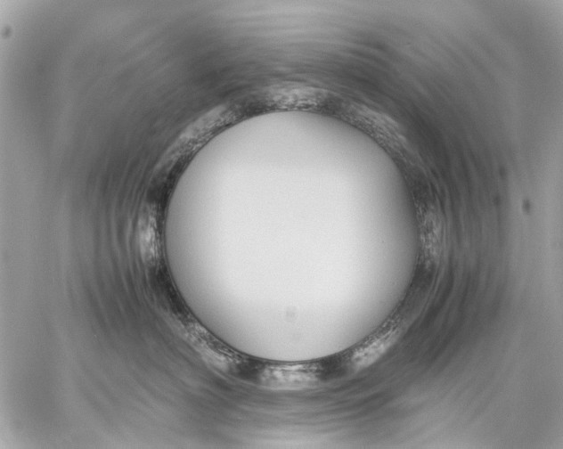 X0000059230622200511041243