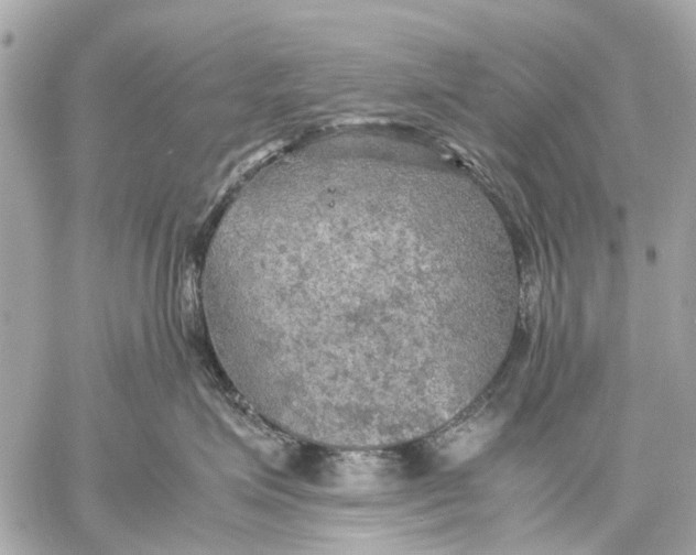 X0000059230623200511041243