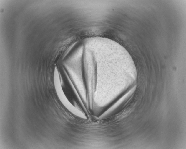 X0000059230624200511041243