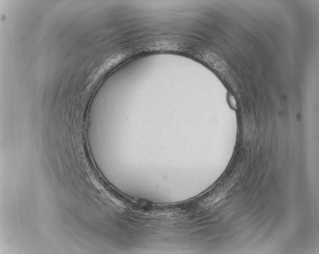 X0000059230625200511041242