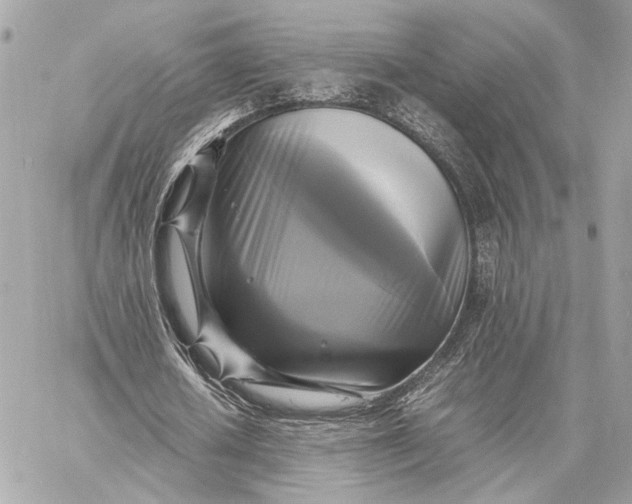 X0000059230626200511041242