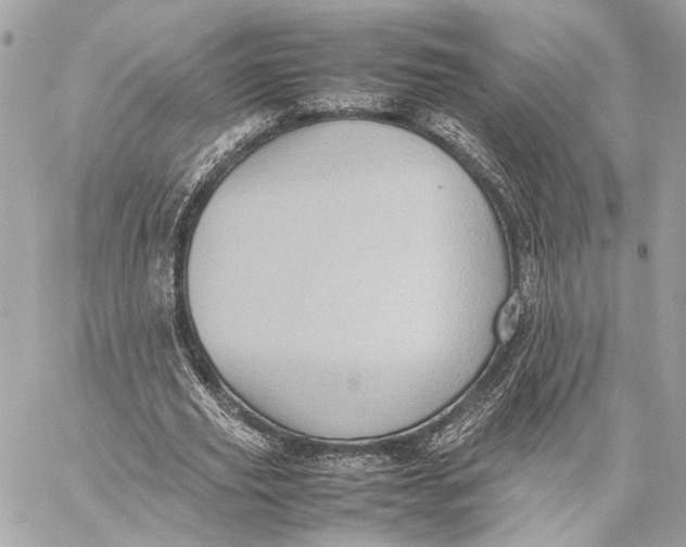 X0000059230629200511041242