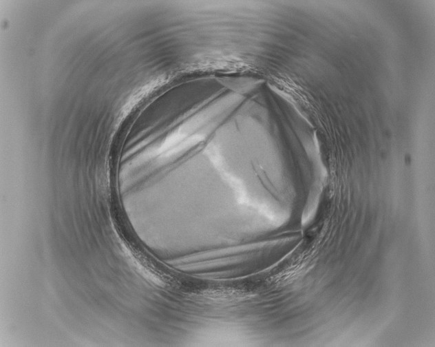 X0000059230630200511041242