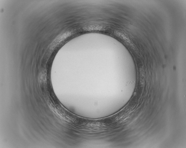 X0000059230631200511041242