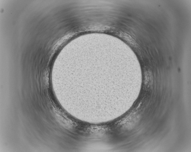 X0000059230632200511041242