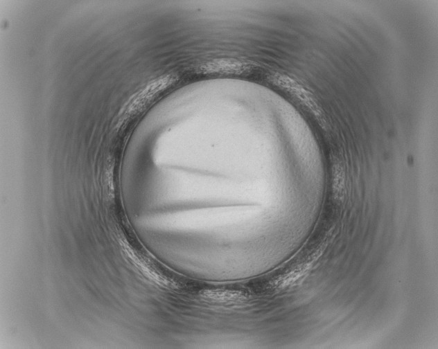 X0000059230633200511041242