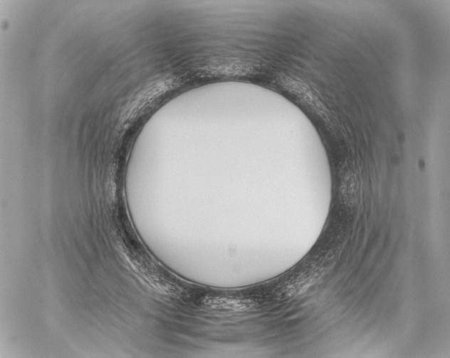 X0000059230635200511041242